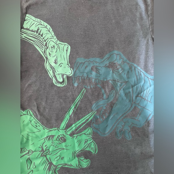 Cat & Jack Blue Dinosaur Tee and Arizona Orange T-Rex Long Sleeve Mini Bundle 🦖 - Picture 9 of 12